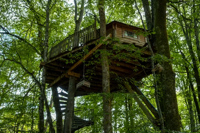 La cabane perchée — photographie 1