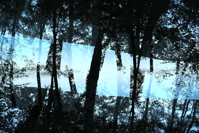La cabane perchée — photographie 7