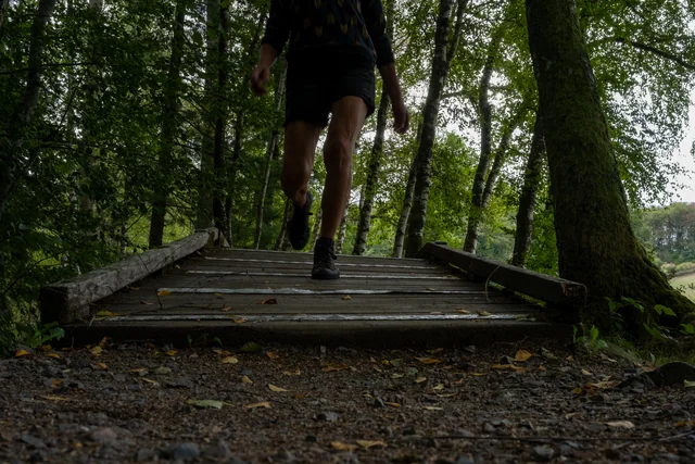 La cabane perchée — photographie 9