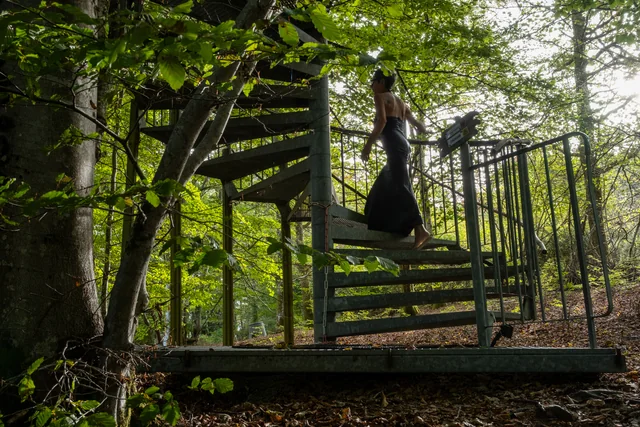 La cabane perchée — photographie 14