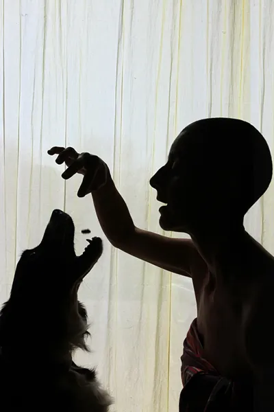 Confinement
Dimanche 12 avril 2020
Le chien