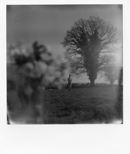 Confinement
Mercredi 18 mars 2020
Les fleurs, Yanko et le grand chêne
SX70
