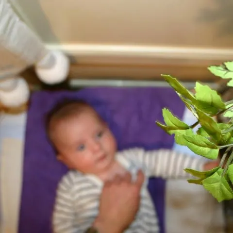 Autoportraits de famille — photographie 127