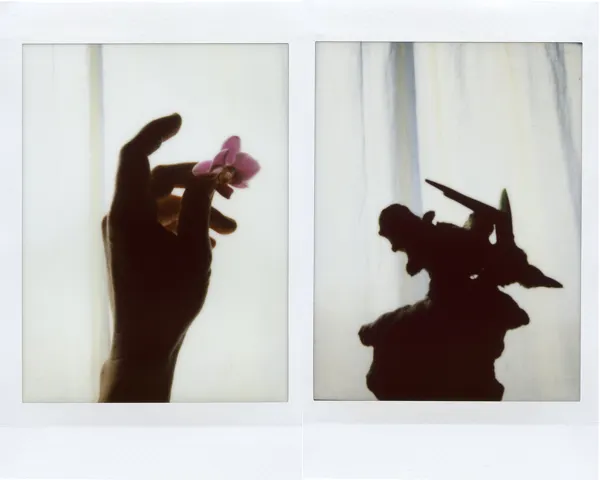 Le confinement — photographie 102