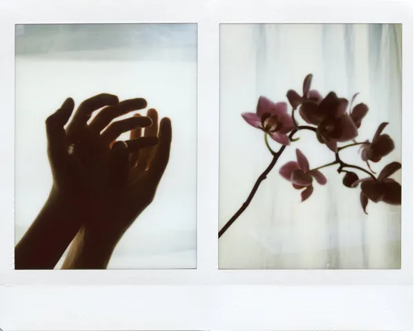 Le confinement — photographie 103