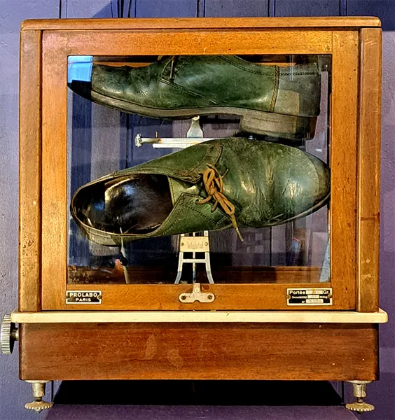 Les chaussures vertes