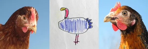 Confinement
Mardi 5 mai 2020
Les poules
Les dessins de Yanko