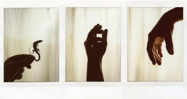Le confinement — photographie 100
