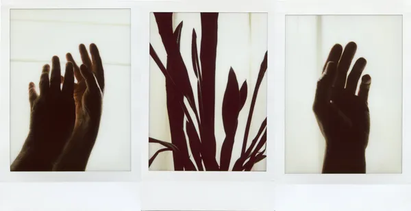 Le confinement — photographie 101