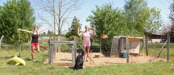 Confinement
Mercredi 22 avril 2020
Les œufs des poules
Et je ne sais plus laquelle est laquelle...