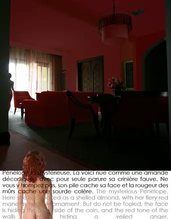 Pénélope ou Oui je peux être décorative !, photographie 20 sur 21