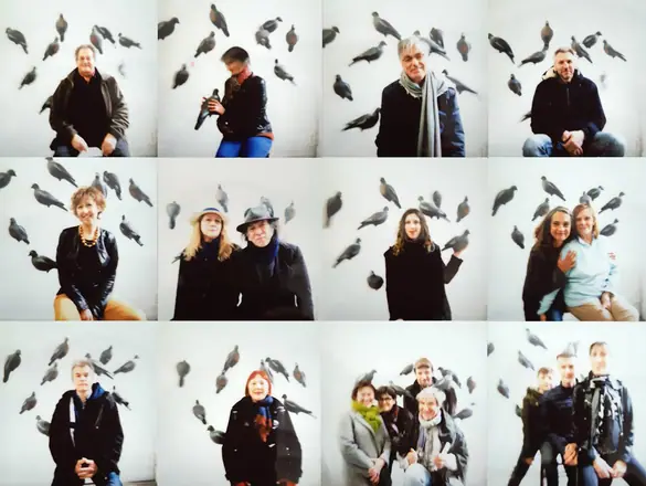 La trilogie du pigeon, photographie 21 sur 21