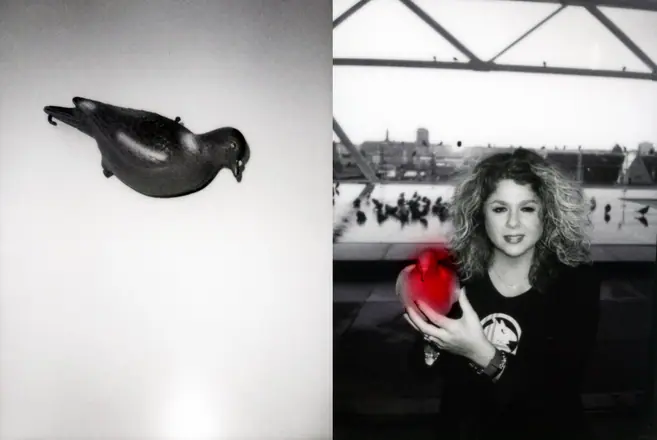 La trilogie du pigeon, photographie 19 sur 21