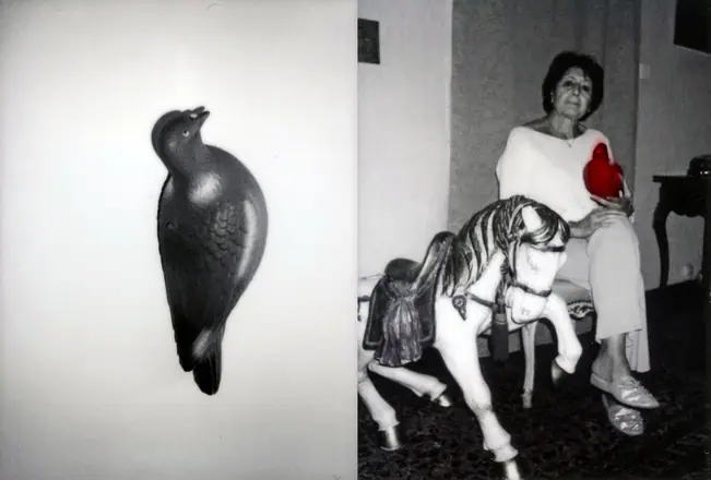 La trilogie du pigeon, photographie 16 sur 21
