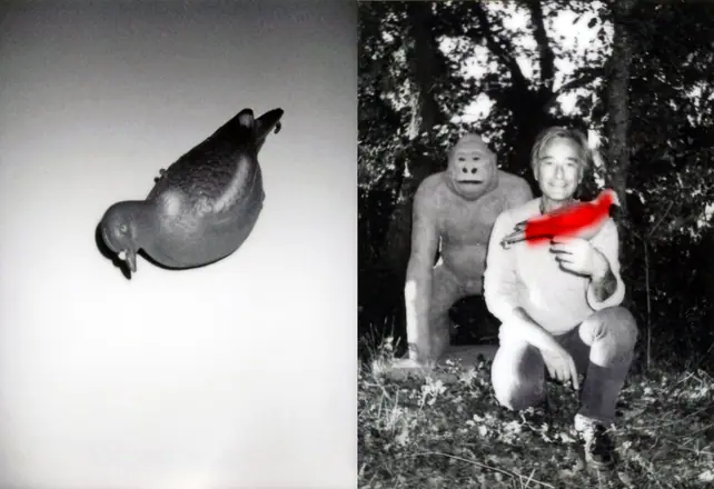 La trilogie du pigeon, photographie 11 sur 21