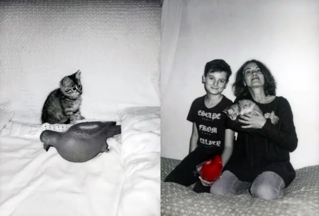 La trilogie du pigeon, photographie 4 sur 21
